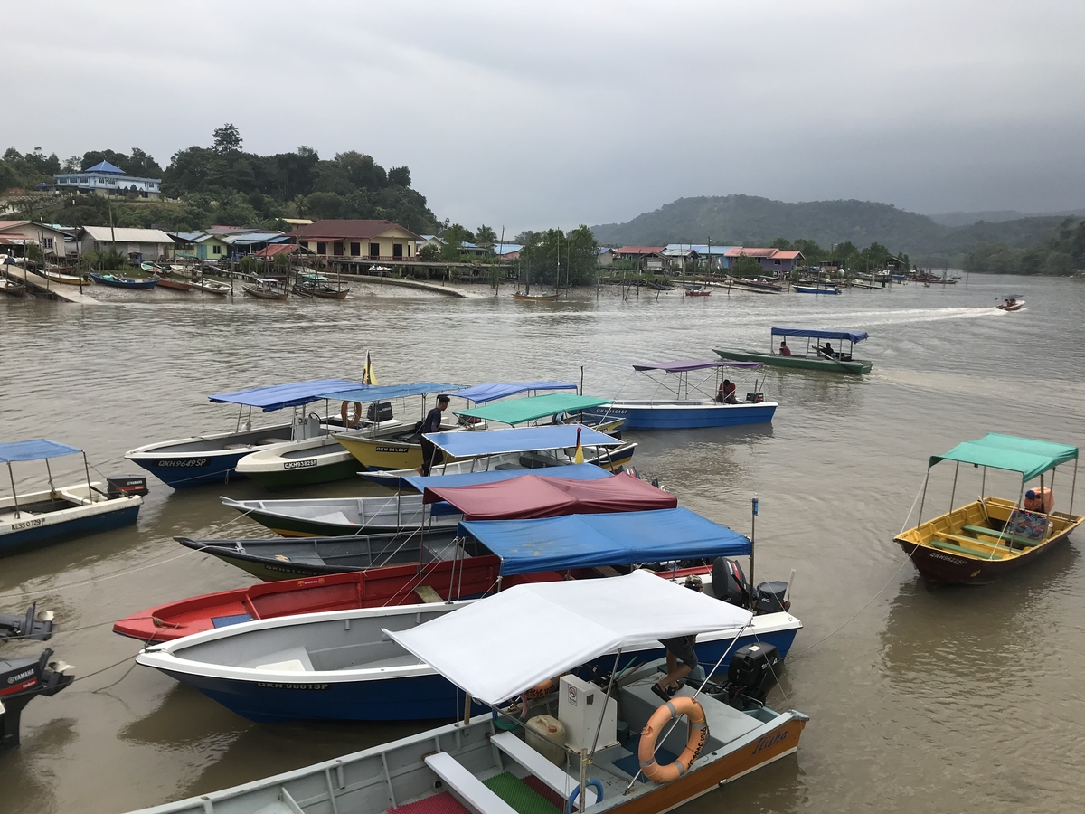 離台灣最近的雨林｜東馬古晉峇哥國家公園，走一趟雨林、看一片原始、靜一下心～