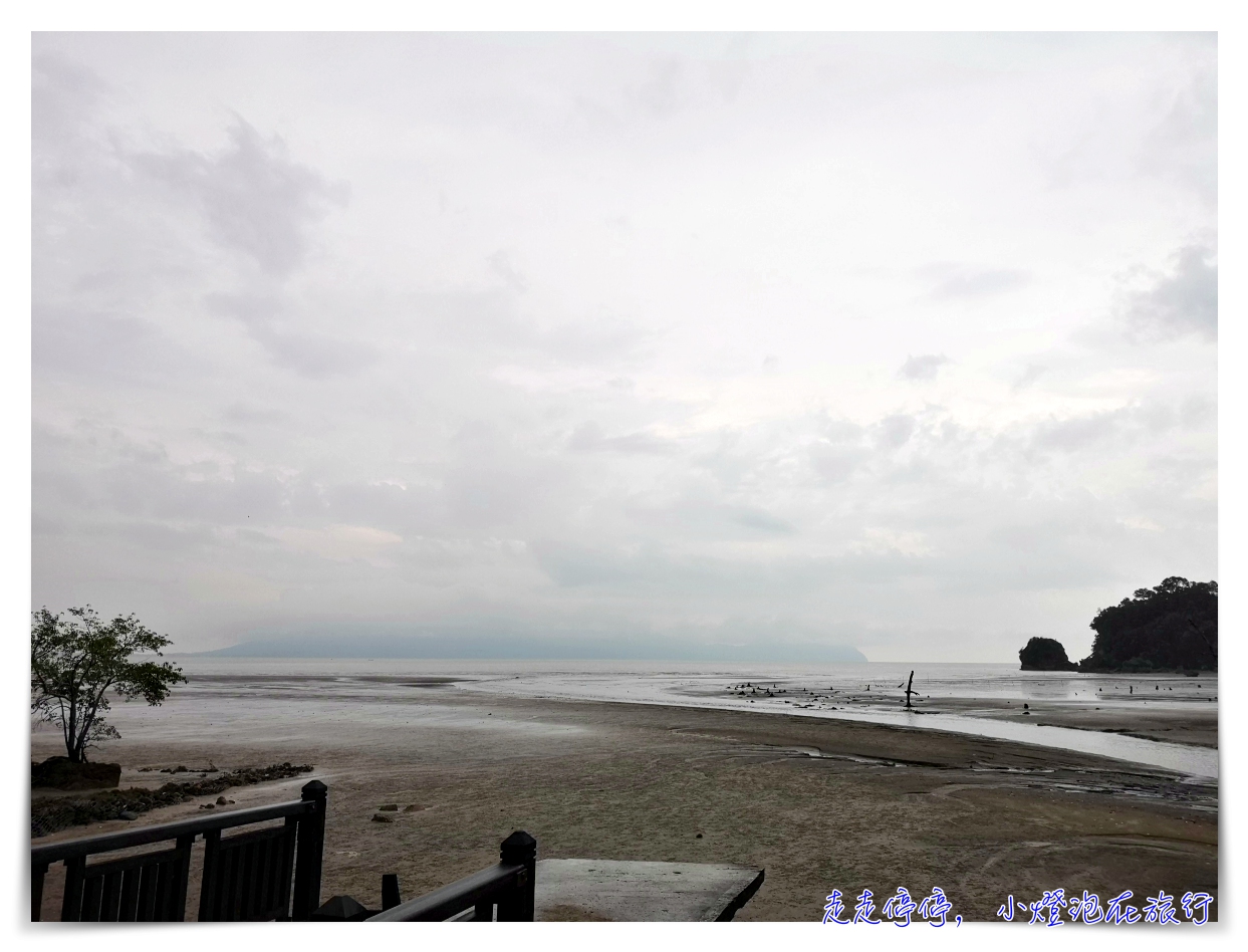 離台灣最近的雨林｜東馬古晉峇哥國家公園，走一趟雨林、看一片原始、靜一下心～