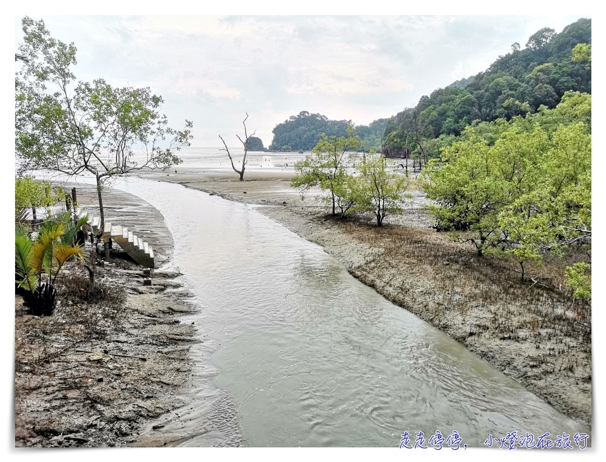 離台灣最近的雨林｜東馬古晉峇哥國家公園，走一趟雨林、看一片原始、靜一下心～