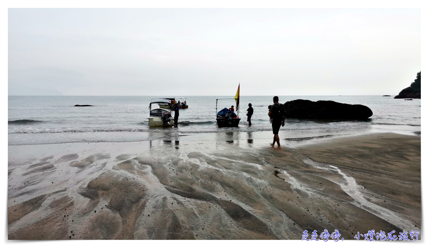 離台灣最近的雨林｜東馬古晉峇哥國家公園，走一趟雨林、看一片原始、靜一下心～