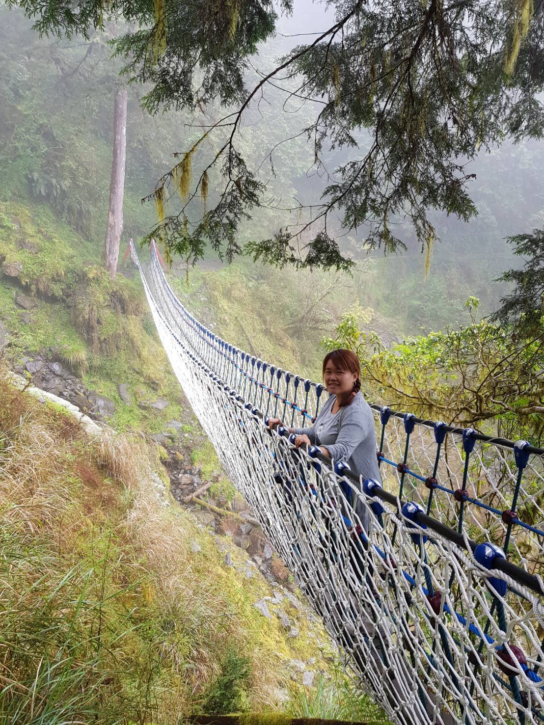 世界最美28條小路之一｜宜蘭太平山。見晴懷古步道，see the clear，讓心放空、讓身子舒坦的絕美火紅步道～