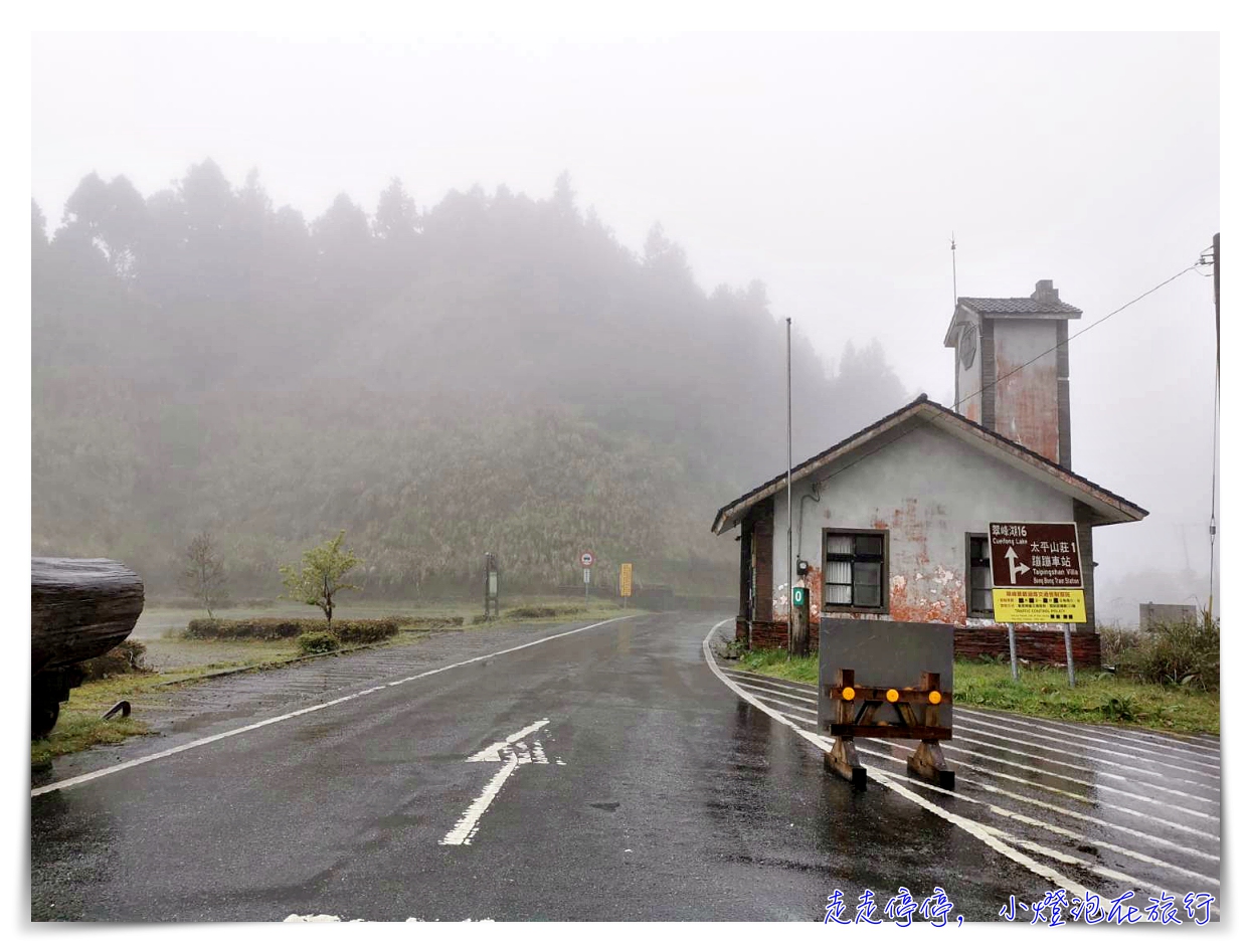 世界最美28條小路之一｜宜蘭太平山。見晴懷古步道，see the clear，讓心放空、讓身子舒坦的絕美火紅步道～