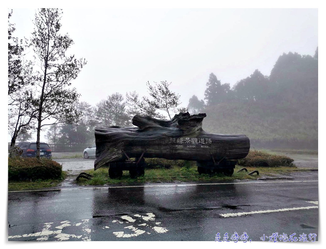 世界最美28條小路之一｜宜蘭太平山。見晴懷古步道，see the clear，讓心放空、讓身子舒坦的絕美火紅步道～