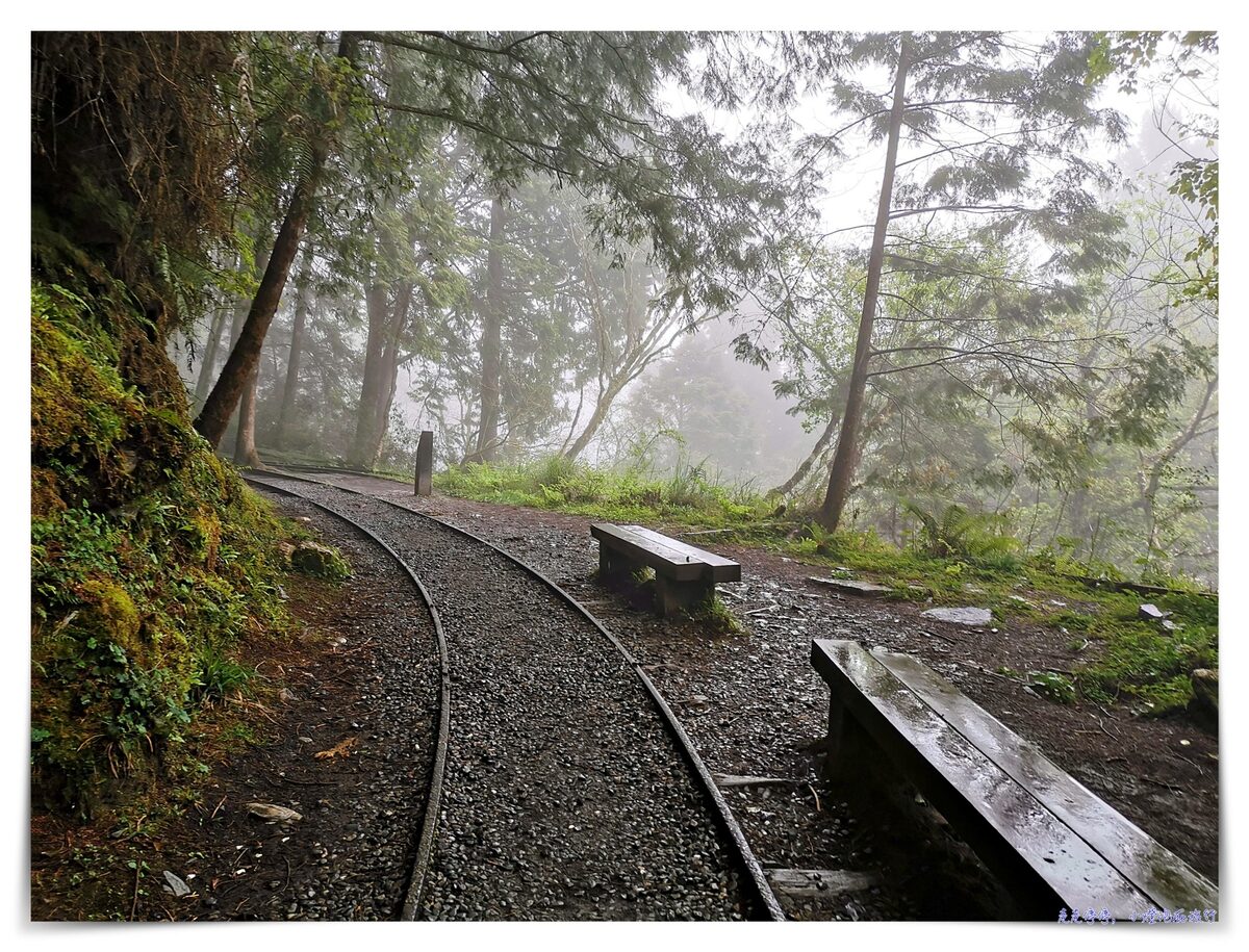 世界最美28條小路之一｜宜蘭太平山。見晴懷古步道，see the clear，讓心放空、讓身子舒坦的絕美火紅步道～