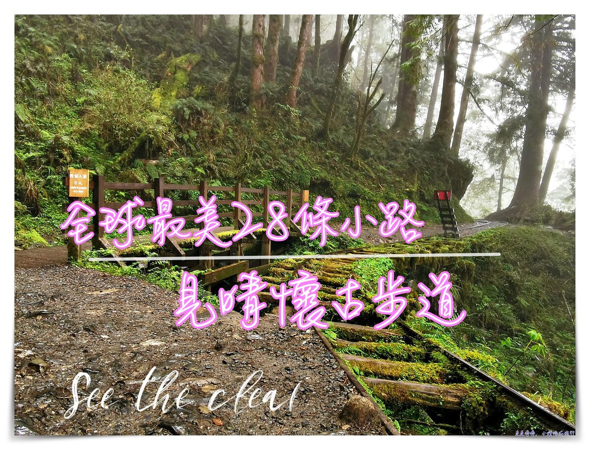 世界最美28條小路之一｜宜蘭太平山。見晴懷古步道，see the clear，讓心放空、讓身子舒坦的絕美火紅步道～