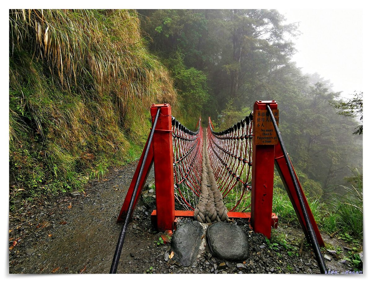 世界最美28條小路之一｜宜蘭太平山。見晴懷古步道，see the clear，讓心放空、讓身子舒坦的絕美火紅步道～