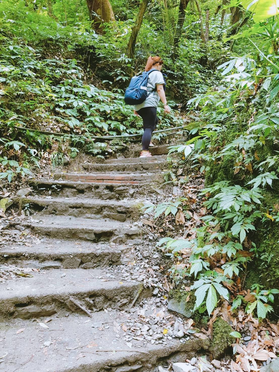 宜蘭抹茶山攻略｜礁溪聖母山莊抹茶山位置、裝備、路線、沿途注意事項、以及交通等建議～台灣版朝聖之路～