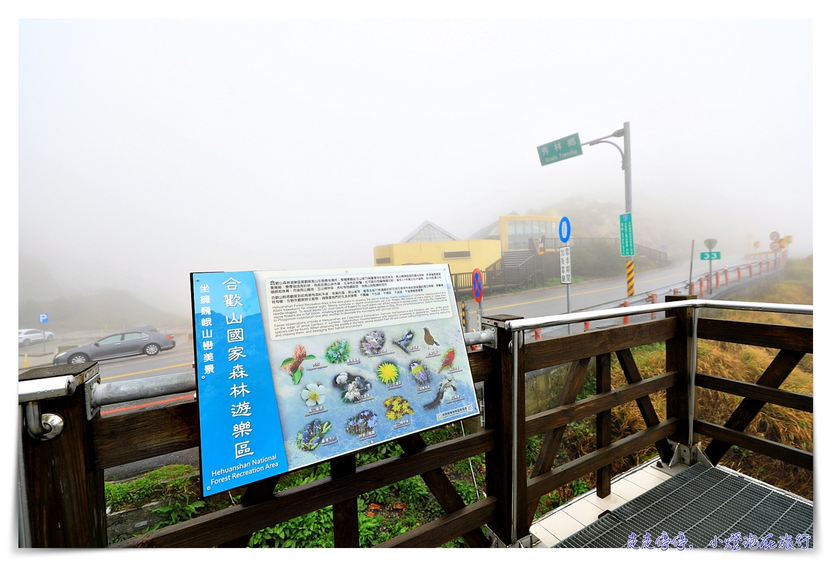 花蓮景點｜合歡山3158cafe，台灣最高咖啡館，花蓮、南投交界處，松雪樓入口附近～