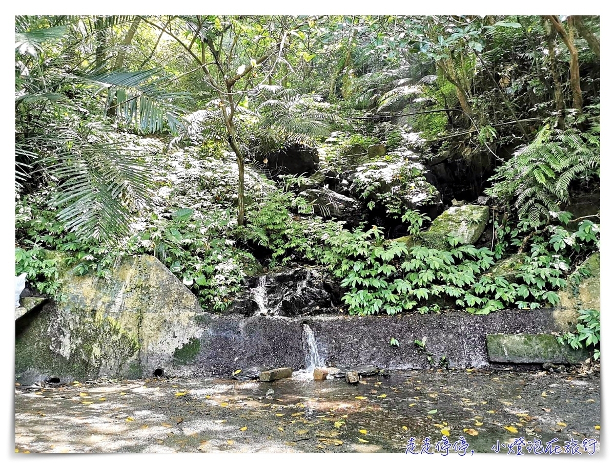 宜蘭抹茶山攻略｜礁溪聖母山莊抹茶山位置、裝備、路線、沿途注意事項、以及交通等建議～台灣版朝聖之路～