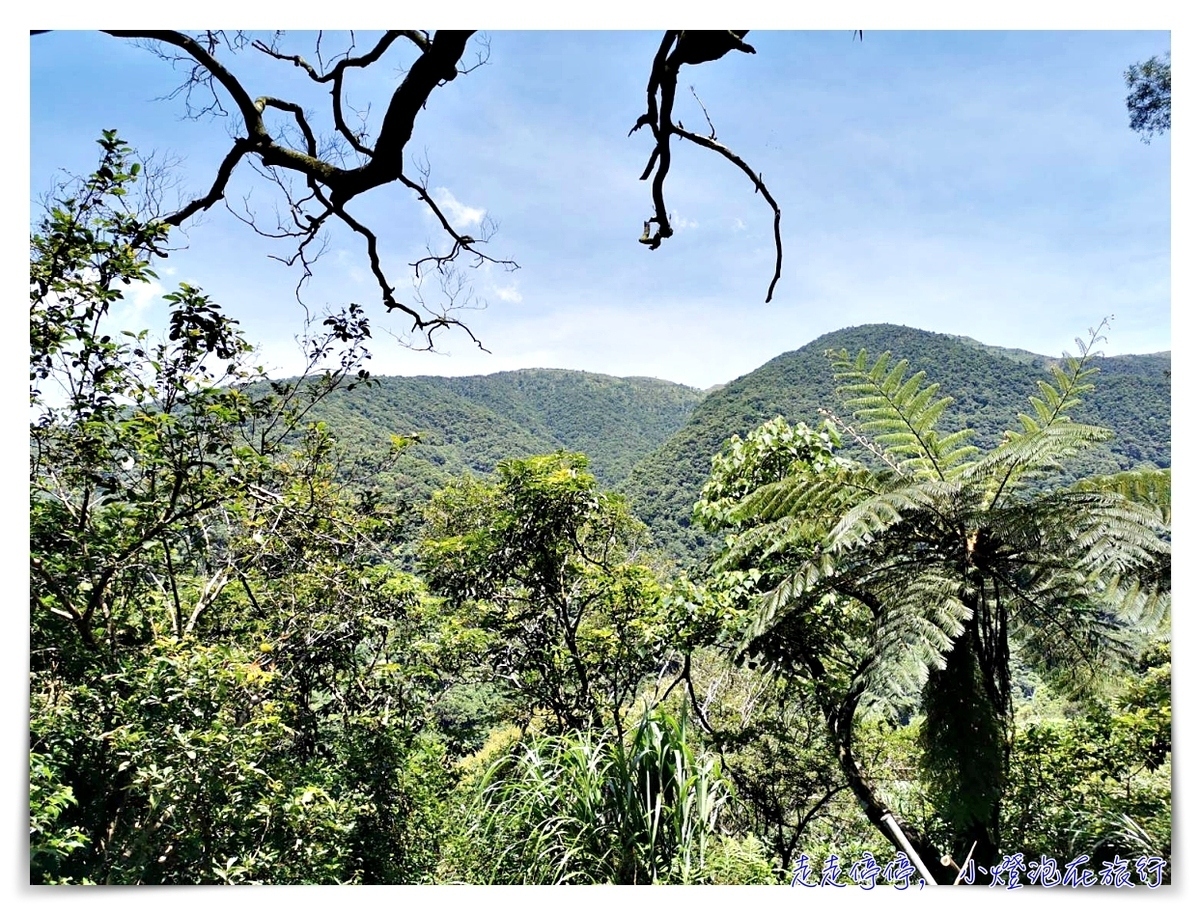 宜蘭抹茶山攻略｜礁溪聖母山莊抹茶山位置、裝備、路線、沿途注意事項、以及交通等建議～台灣版朝聖之路～