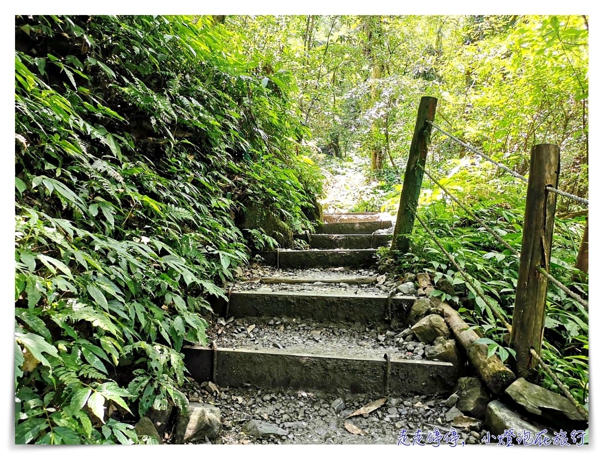 宜蘭抹茶山攻略｜礁溪聖母山莊抹茶山位置、裝備、路線、沿途注意事項、以及交通等建議～台灣版朝聖之路～