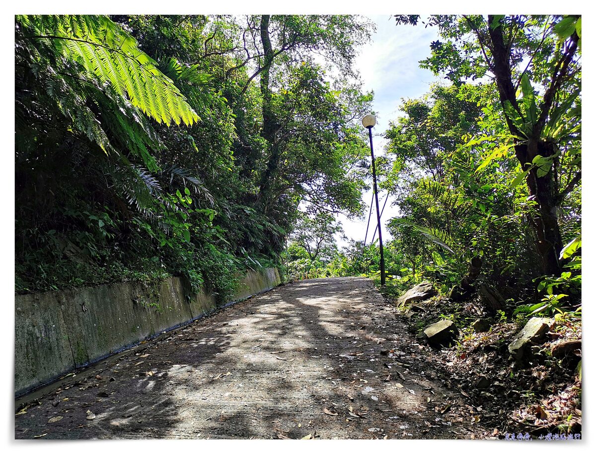 宜蘭抹茶山攻略｜礁溪聖母山莊抹茶山位置、裝備、路線、沿途注意事項、以及交通等建議～台灣版朝聖之路～