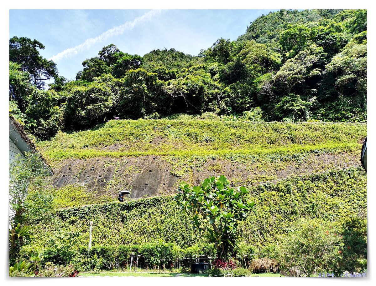 宜蘭抹茶山攻略｜礁溪聖母山莊抹茶山位置、裝備、路線、沿途注意事項、以及交通等建議～台灣版朝聖之路～