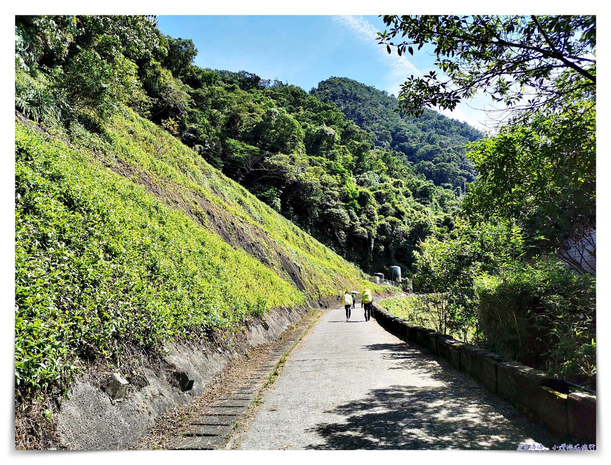 宜蘭抹茶山攻略｜礁溪聖母山莊抹茶山位置、裝備、路線、沿途注意事項、以及交通等建議～台灣版朝聖之路～