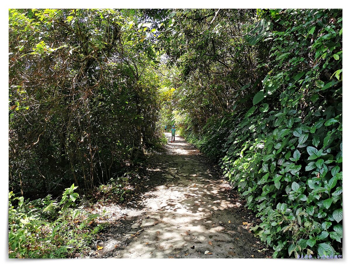 宜蘭抹茶山攻略｜礁溪聖母山莊抹茶山位置、裝備、路線、沿途注意事項、以及交通等建議～台灣版朝聖之路～