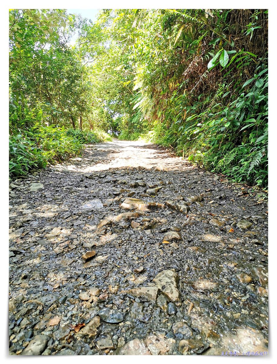 宜蘭抹茶山攻略｜礁溪聖母山莊抹茶山位置、裝備、路線、沿途注意事項、以及交通等建議～台灣版朝聖之路～