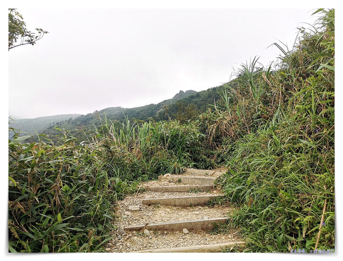 宜蘭抹茶山攻略｜礁溪聖母山莊抹茶山位置、裝備、路線、沿途注意事項、以及交通等建議～台灣版朝聖之路～