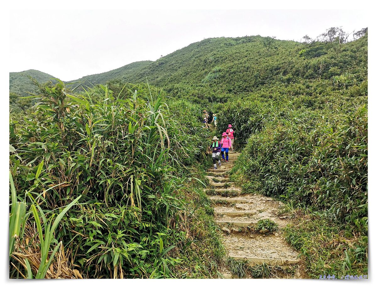 宜蘭抹茶山攻略｜礁溪聖母山莊抹茶山位置、裝備、路線、沿途注意事項、以及交通等建議～台灣版朝聖之路～