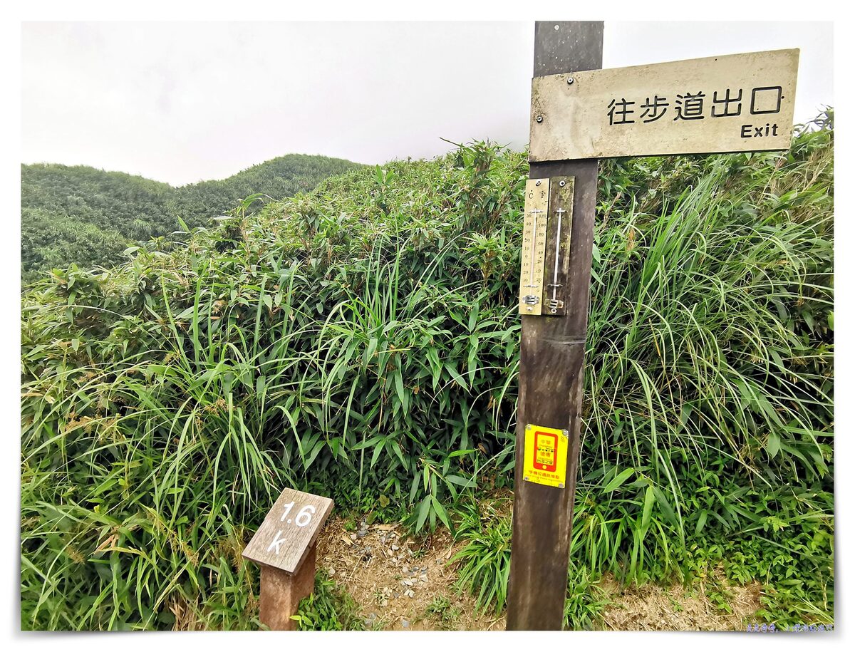 宜蘭抹茶山攻略｜礁溪聖母山莊抹茶山位置、裝備、路線、沿途注意事項、以及交通等建議～台灣版朝聖之路～