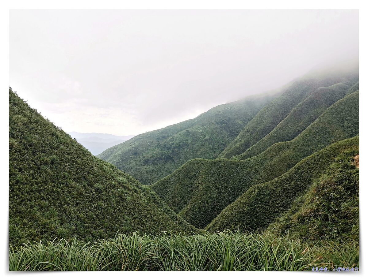 宜蘭抹茶山攻略｜礁溪聖母山莊抹茶山位置、裝備、路線、沿途注意事項、以及交通等建議～台灣版朝聖之路～