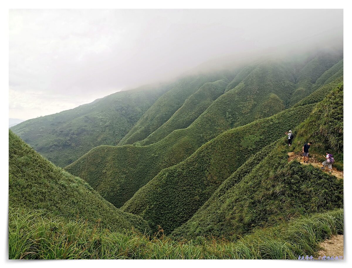 宜蘭抹茶山攻略｜礁溪聖母山莊抹茶山位置、裝備、路線、沿途注意事項、以及交通等建議～台灣版朝聖之路～