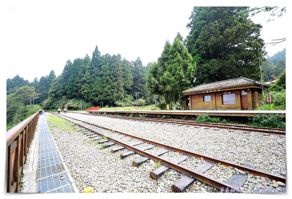 台灣絕美車站｜阿里山二萬坪（二萬平）車站。拍攝雲海、鐵道、森林、高山的奇景車站～阿里山青年活動中心旁之台灣車窗車站～