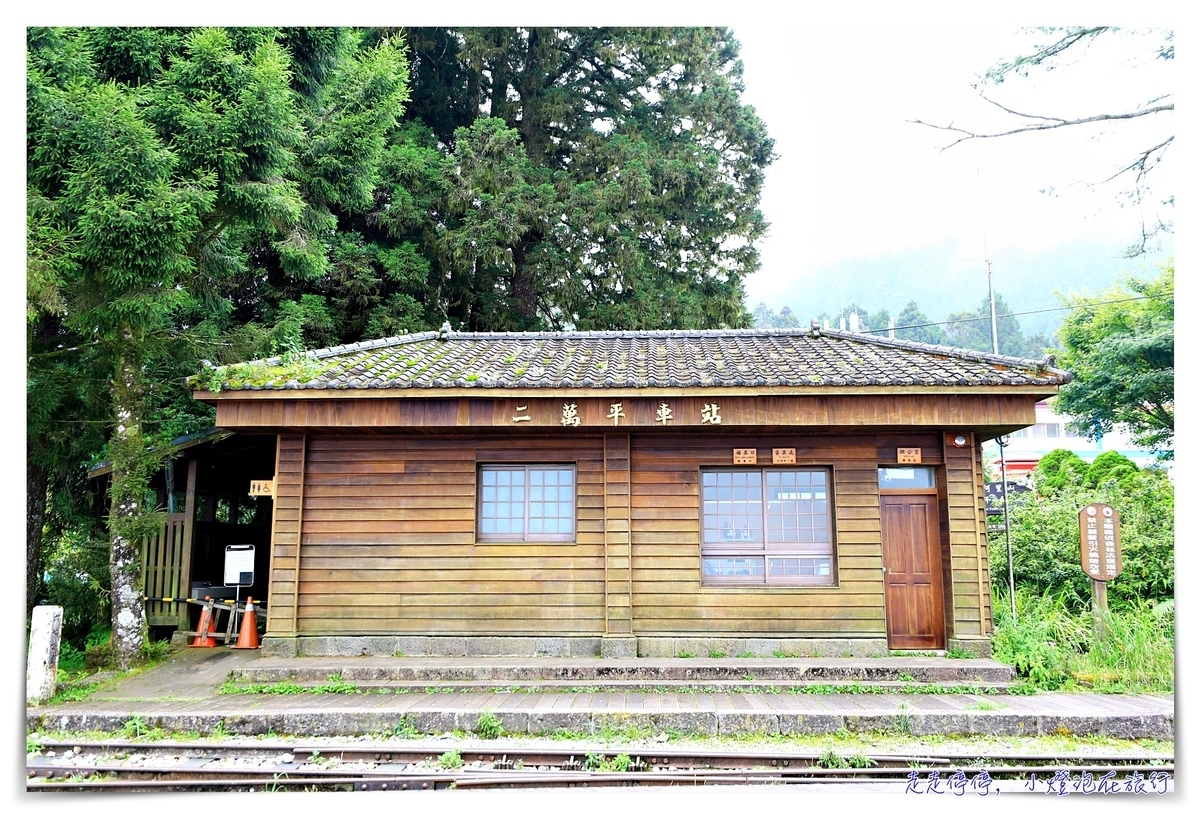 台灣絕美車站｜阿里山二萬坪（二萬平）車站。拍攝雲海、鐵道、森林、高山的奇景車站～阿里山青年活動中心旁之台灣車窗車站～