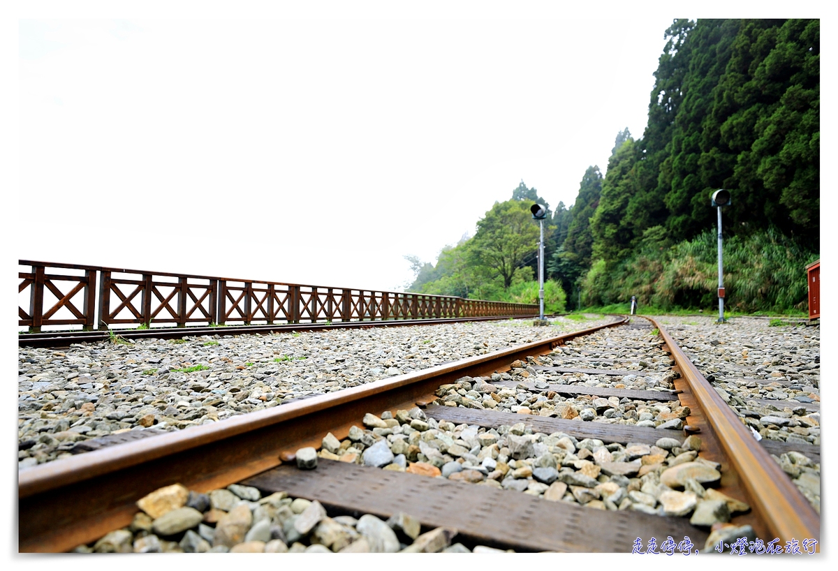 台灣絕美車站｜阿里山二萬坪（二萬平）車站。拍攝雲海、鐵道、森林、高山的奇景車站～阿里山青年活動中心旁之台灣車窗車站～