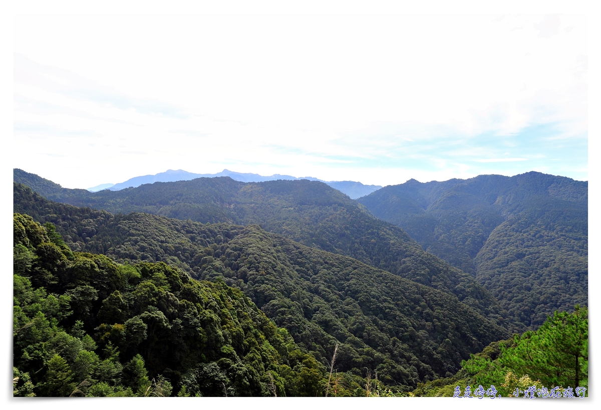 阿里山雲海 傷心山雲海天堂觀景台簡單就可以觀看玉山、看日出、看雲海的觀景平台