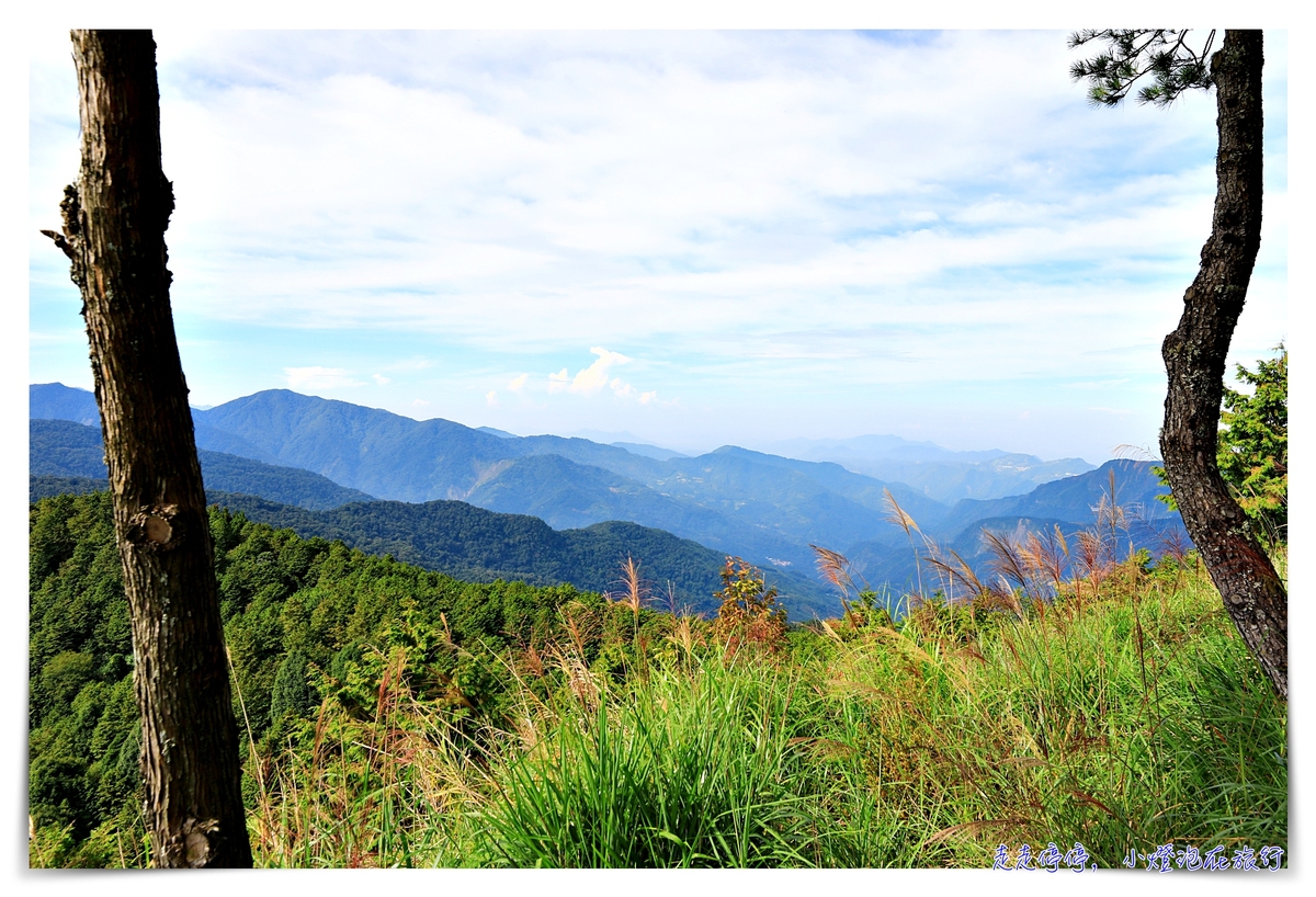 阿里山雲海 傷心山雲海天堂觀景台簡單就可以觀看玉山、看日出、看雲海的觀景平台