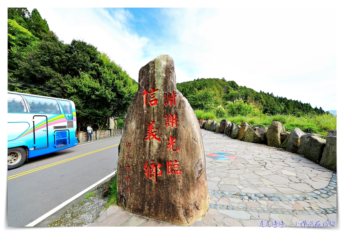 特富野古道攻略｜這才是網美步道、最美森林鐵道。古道、鐵道、森林、橋樑四大特色，平緩好走、美麗好拍～連老人、小孩、小寵物都可以走上一趟～