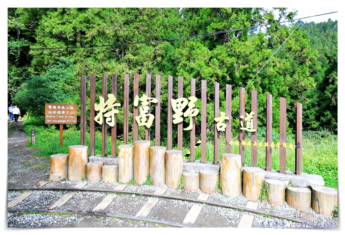 特富野古道攻略｜這才是網美步道、最美森林鐵道。古道、鐵道、森林、橋樑四大特色，平緩好走、美麗好拍～連老人、小孩、小寵物都可以走上一趟～