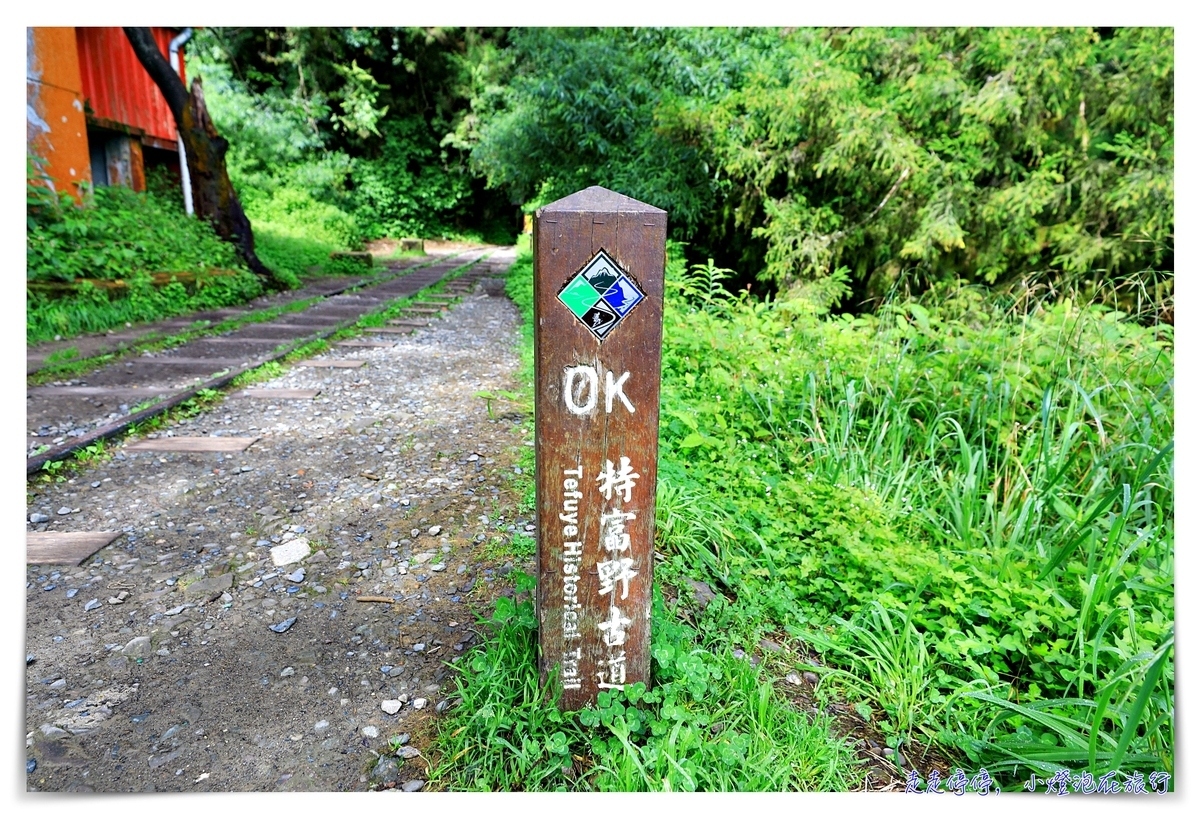 特富野古道攻略｜這才是網美步道、最美森林鐵道。古道、鐵道、森林、橋樑四大特色，平緩好走、美麗好拍～連老人、小孩、小寵物都可以走上一趟～