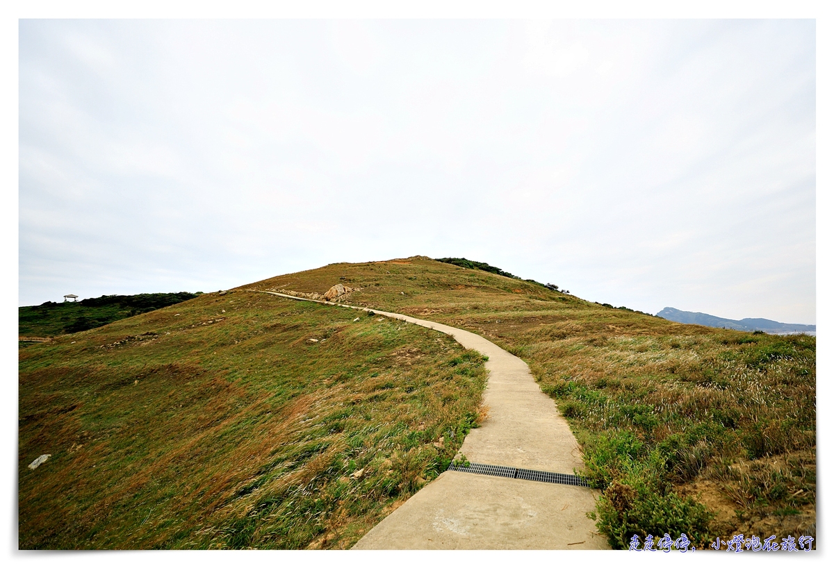 馬祖北竿大坵島梅花鹿｜交通、鹿況、以及行程安排、美食及相關注意事項