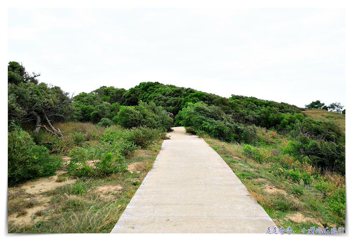 馬祖北竿大坵島梅花鹿｜交通、鹿況、以及行程安排、美食及相關注意事項