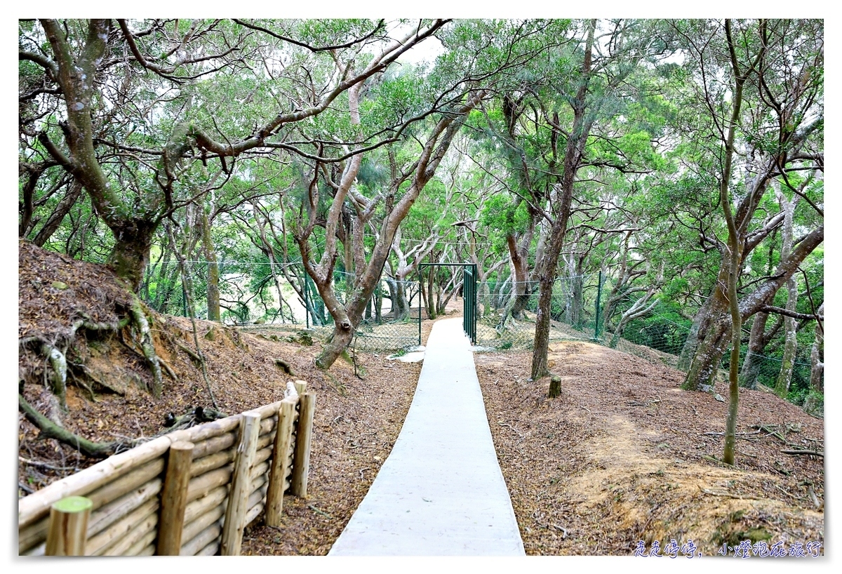 馬祖北竿大坵島梅花鹿｜交通、鹿況、以及行程安排、美食及相關注意事項