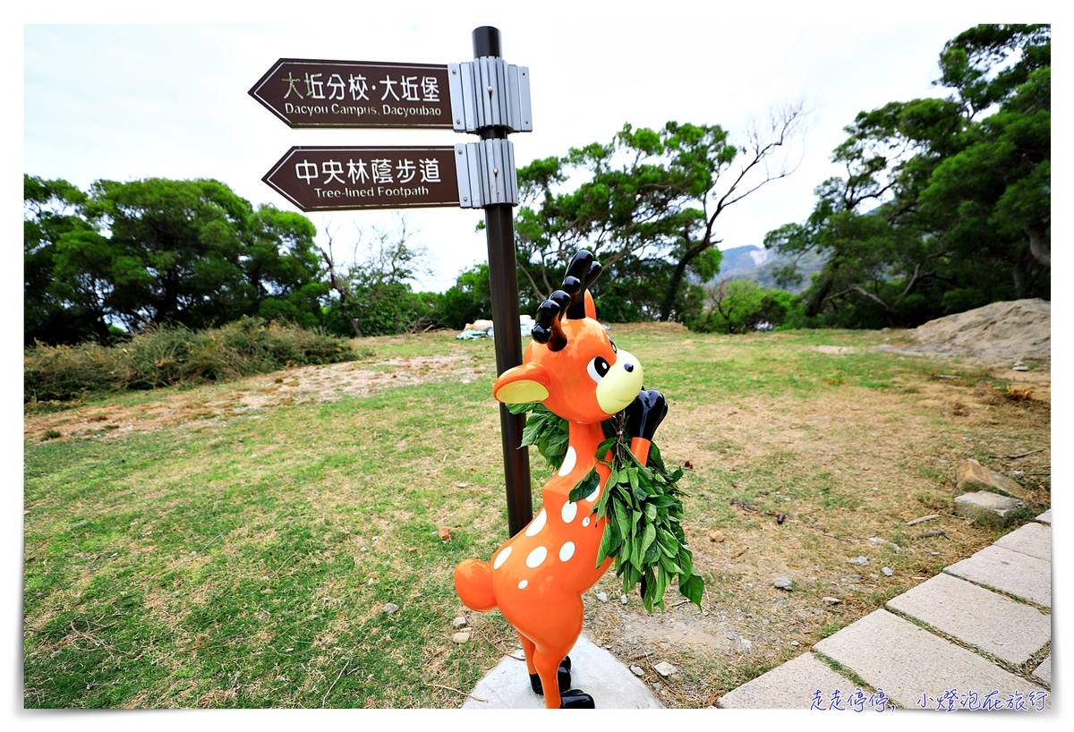 馬祖北竿大坵島梅花鹿｜交通、鹿況、以及行程安排、美食及相關注意事項