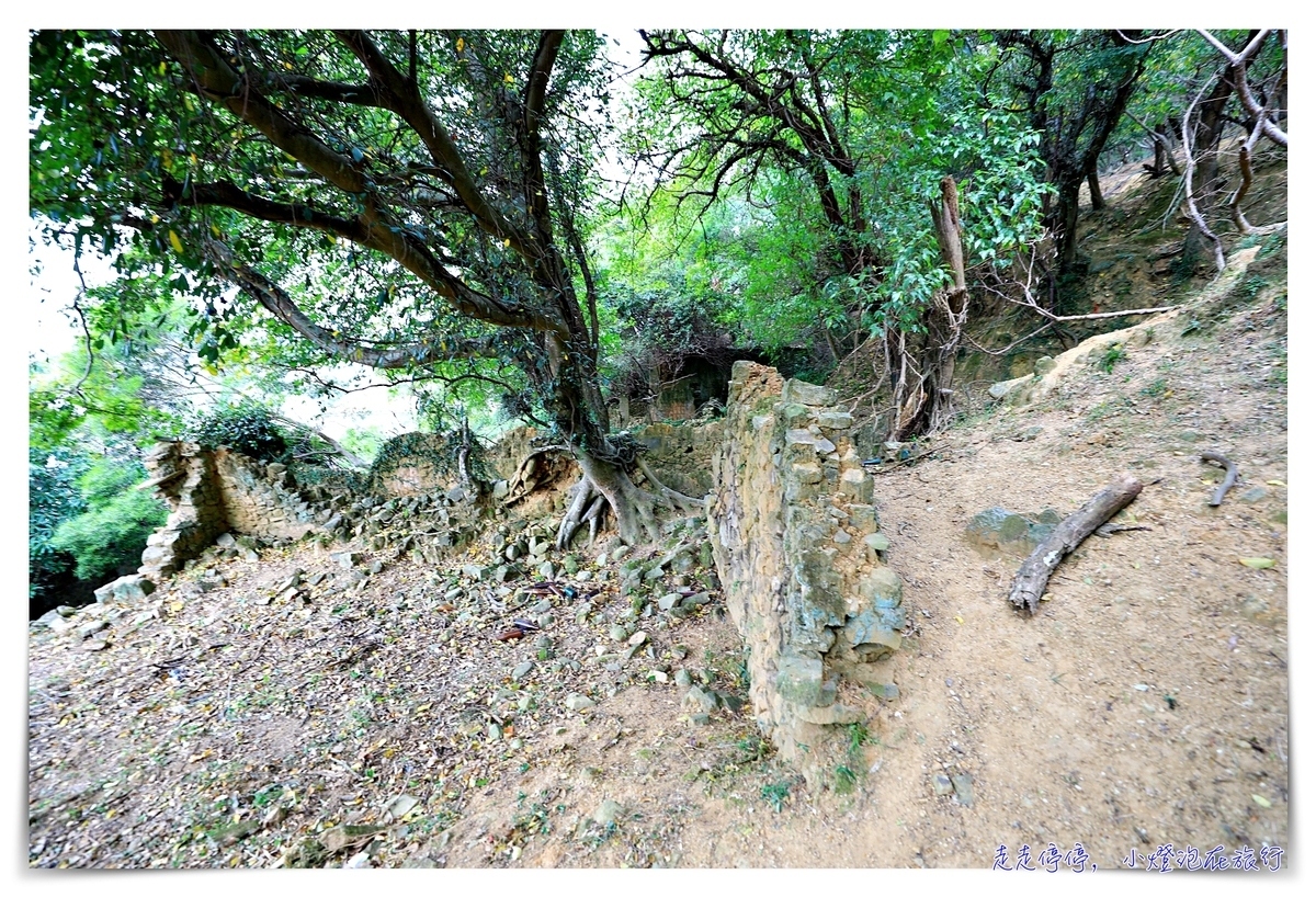 馬祖北竿大坵島梅花鹿｜交通、鹿況、以及行程安排、美食及相關注意事項