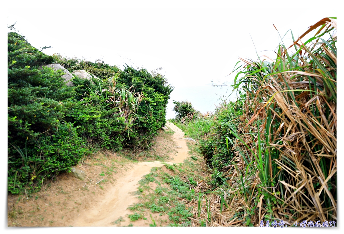 馬祖北竿螺山步道｜700公尺遇見比巨人堤、莫赫懸崖更美的絕美角度～