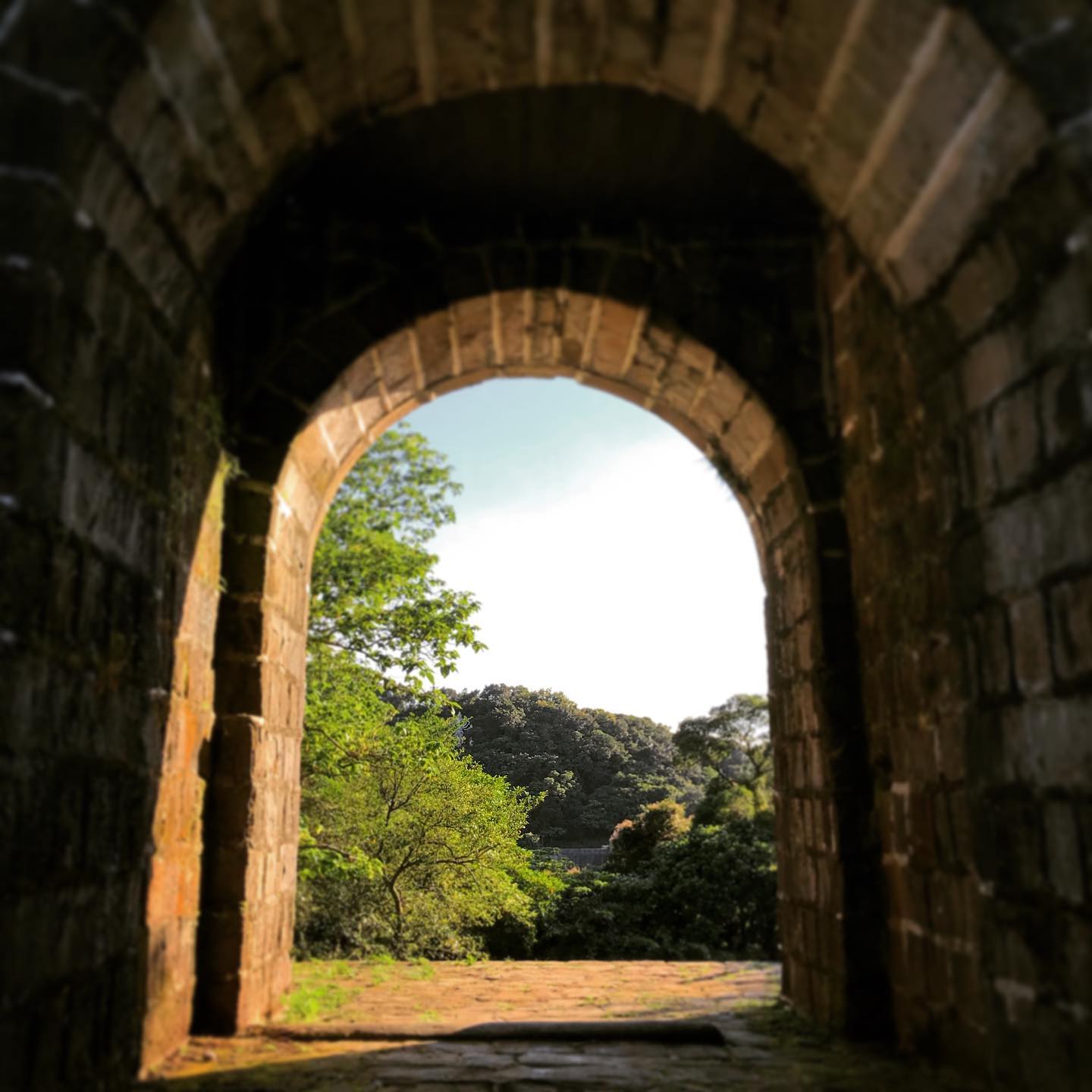 基隆港接送｜星夢郵輪、歌斯達郵輪港口接送，下船回程前基隆半日行程～