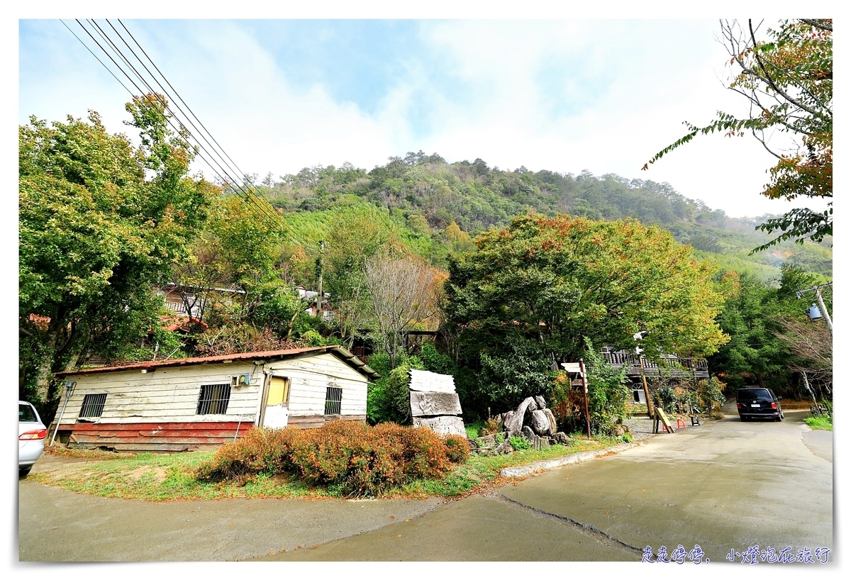 司馬庫斯行程攻略，賞櫻、住宿選擇、交通、景點、注意事項、美食、巨木群步道