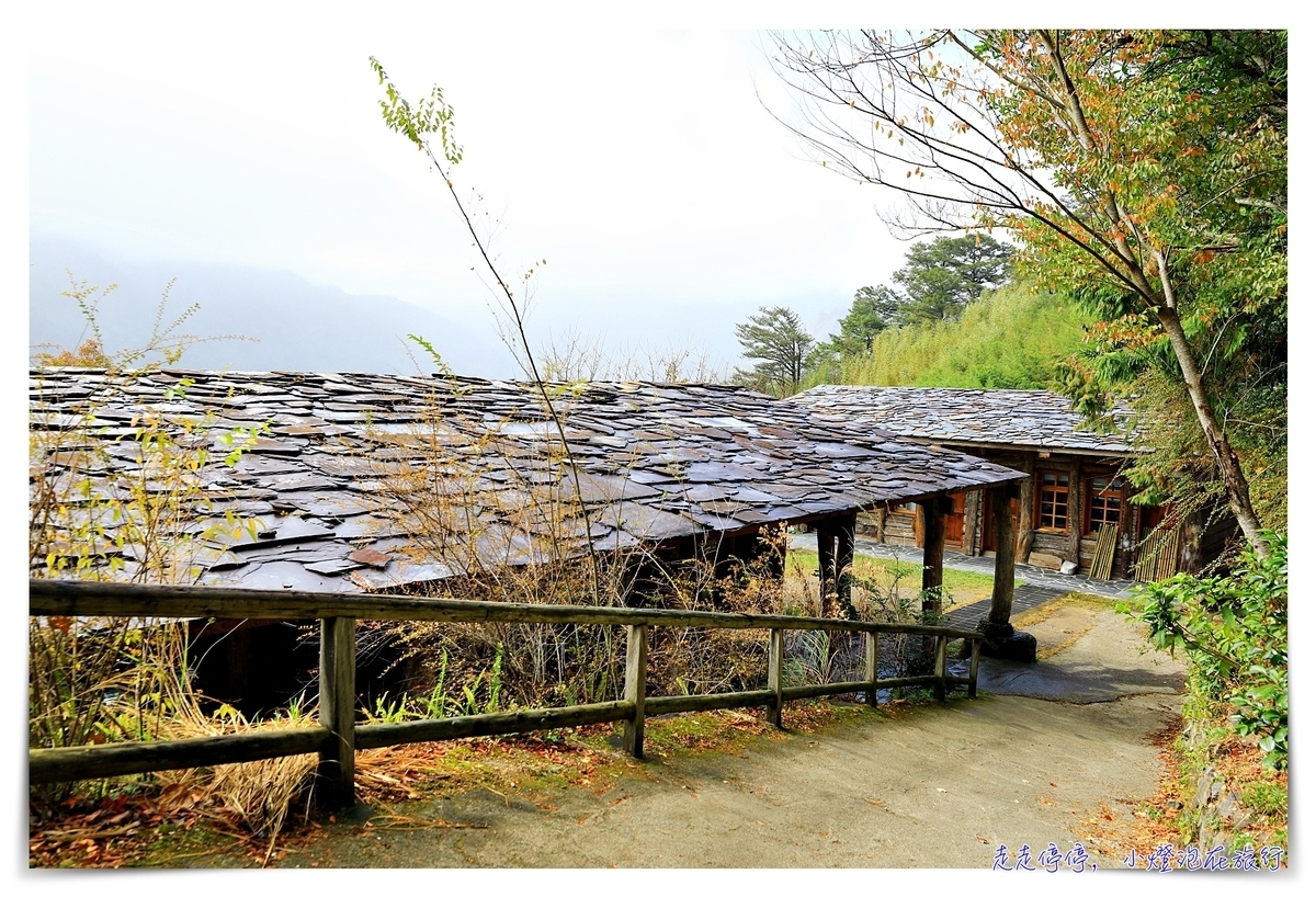 司馬庫斯行程攻略，賞櫻、住宿選擇、交通、景點、注意事項、美食、巨木群步道