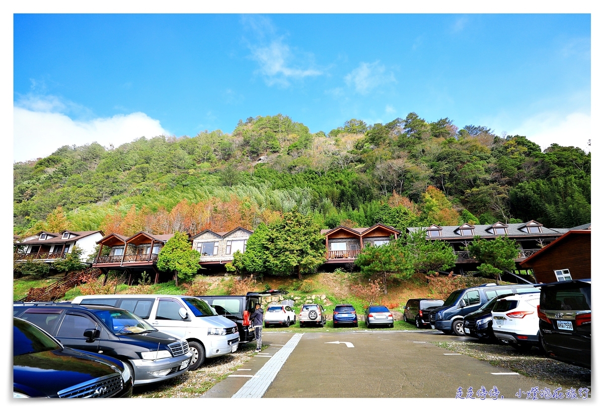 司馬庫斯行程攻略，賞櫻、住宿選擇、交通、景點、注意事項、美食、巨木群步道