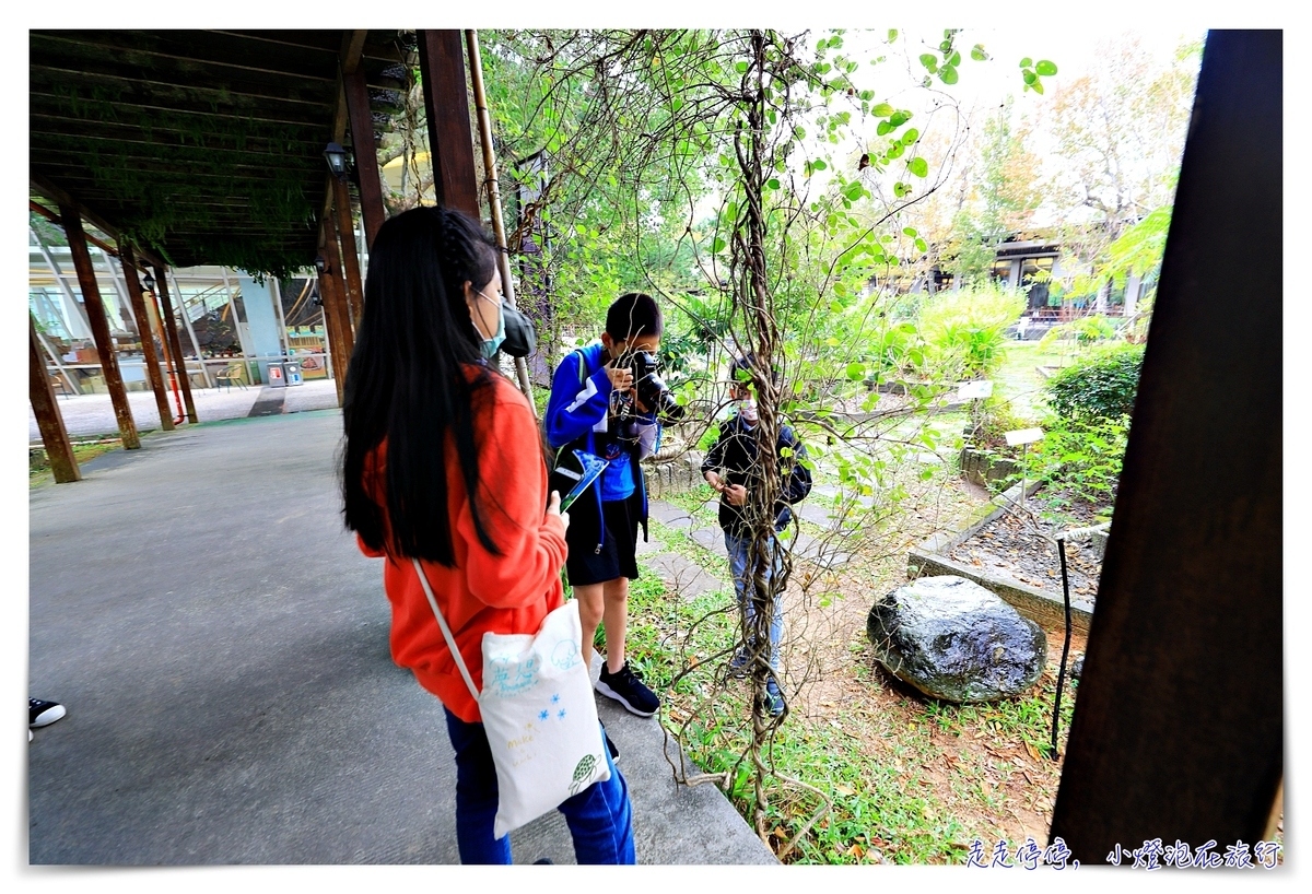 台東安捷親子飛行自由行活動｜給孩子一個不一樣的旅行風味冬令營吧～（限時優惠、限定日期）