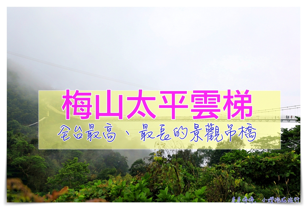 梅山太平雲梯｜梅山36彎、梅山老街、太平雲梯，漫步在雲端、一分鐘一景色，台灣海拔最高單吊式吊橋