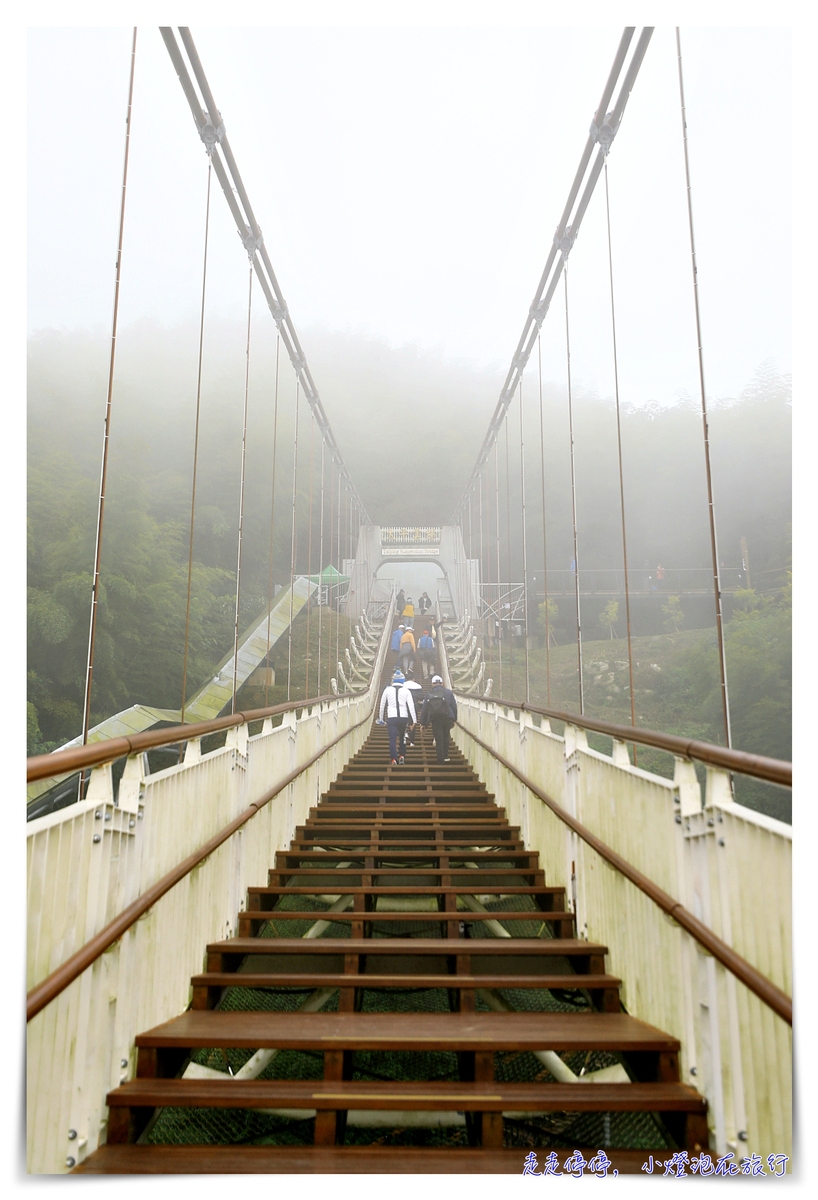 梅山太平雲梯｜梅山36彎、梅山老街、太平雲梯，漫步在雲端、一分鐘一景色，台灣海拔最高單吊式吊橋