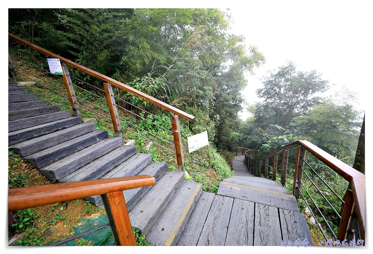 梅山太平雲梯｜梅山36彎、梅山老街、太平雲梯，漫步在雲端、一分鐘一景色，台灣海拔最高單吊式吊橋