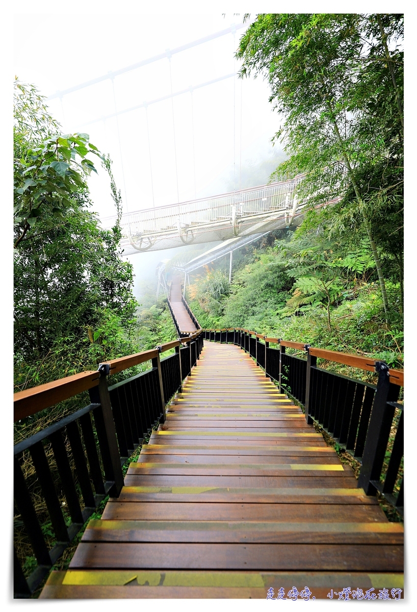 梅山太平雲梯｜梅山36彎、梅山老街、太平雲梯，漫步在雲端、一分鐘一景色，台灣海拔最高單吊式吊橋