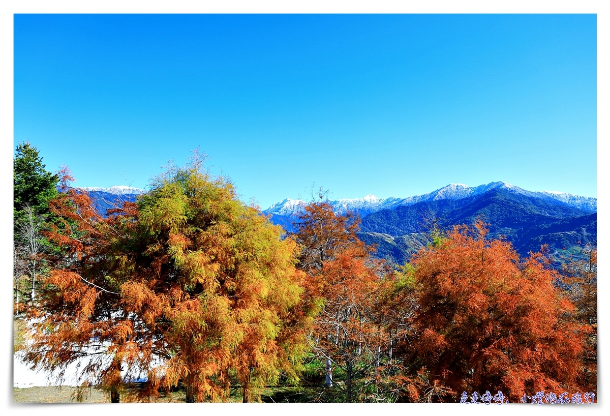 清境藝家原｜歐式城堡、奇萊山景、全景看見清境、夜裡滿星空的好位置