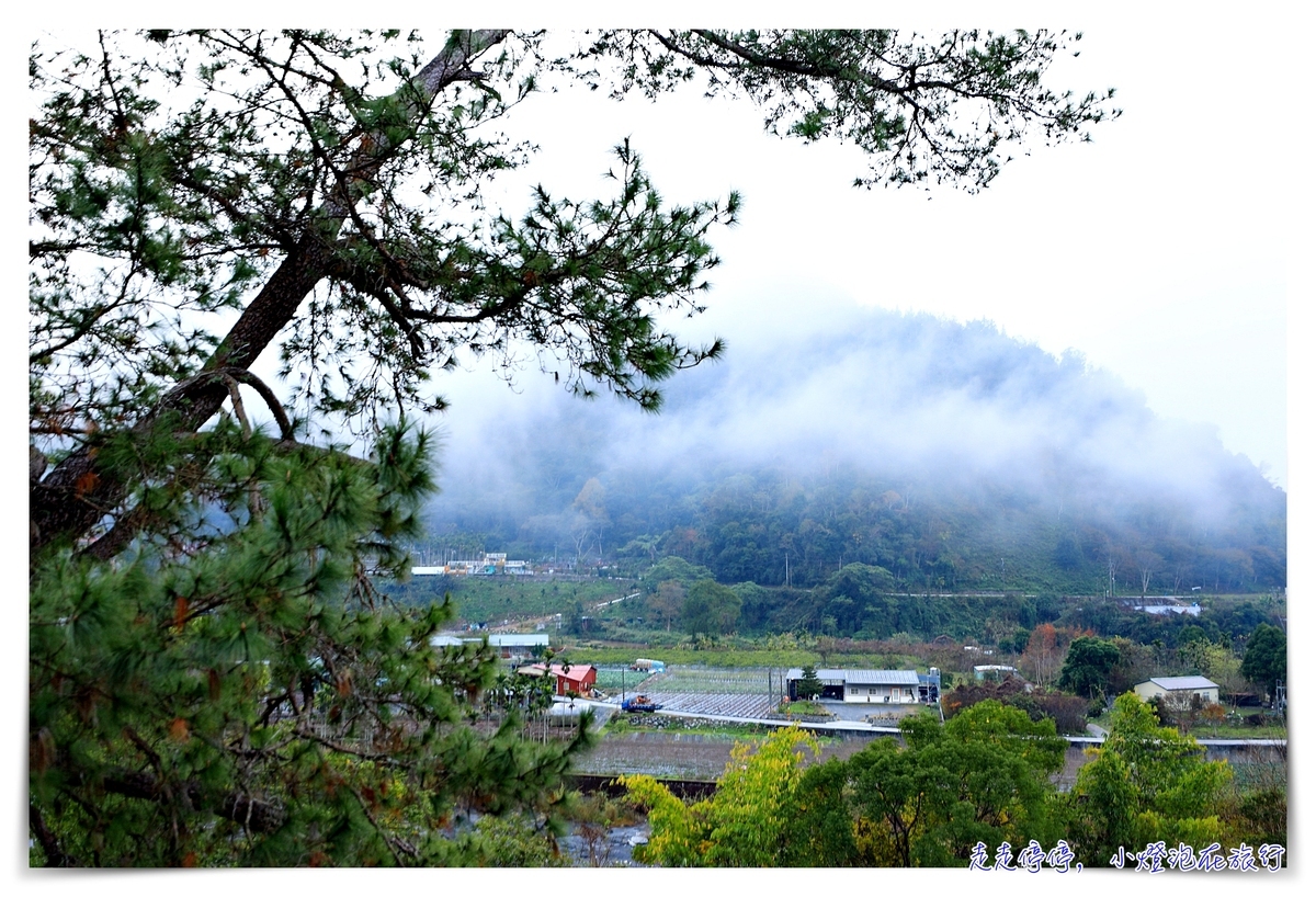 武界民宿推薦｜青天山房，現代住宿、含晚餐、頂樓暖房就可看星空雲海